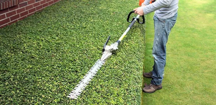 Shrub & Tree Trimming Service