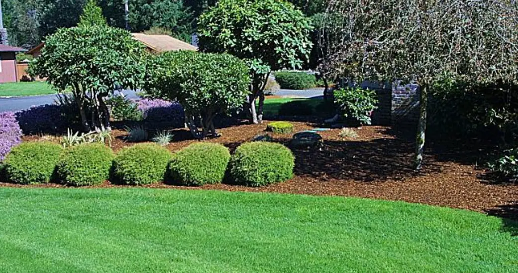 Landscaping Services